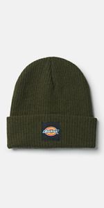 Dickies DK0A4XRY - EVADALE beanie (DT8003) Dark Green