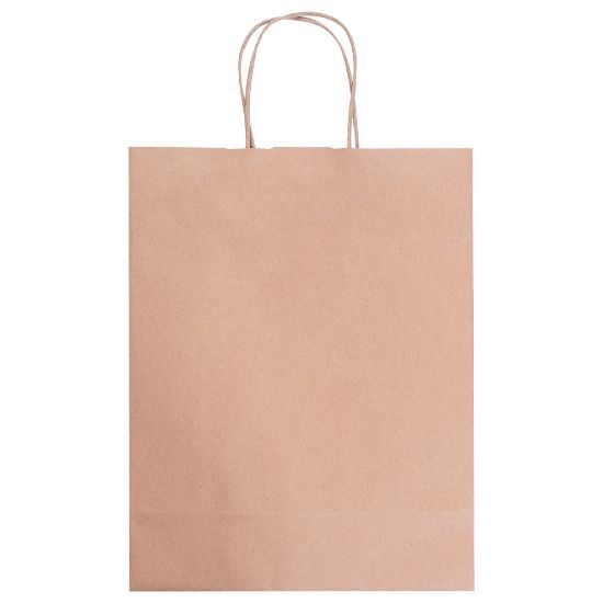 EgotierPro 53580 - Kraft Paper Bag with Twisted Handle AYSEN