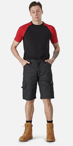 Dickies DK0A4XSG - Everyday shorts (EX. DED247SH)